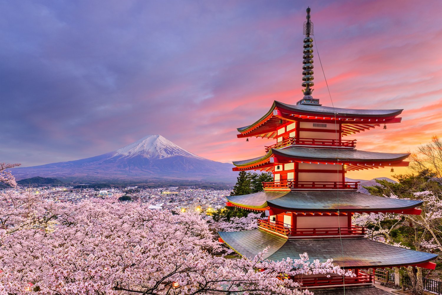 Japonia Martie 2023 – Spectacolul Florii De Cires