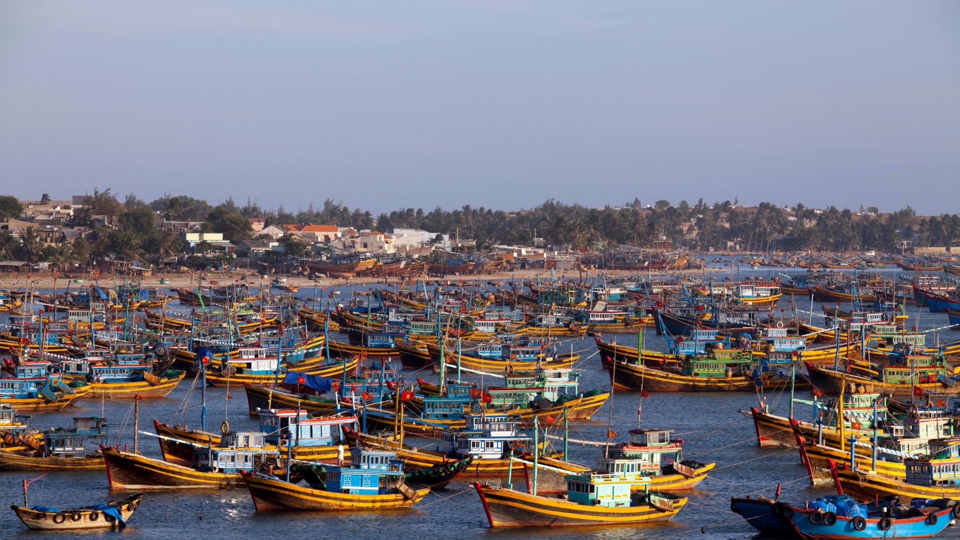 Vietnam Paste 2024 - Descopera Saigon Si Plaja Mui Ne!