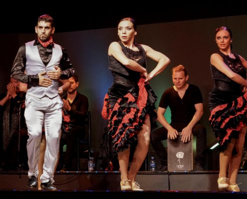 Flamenco Spania