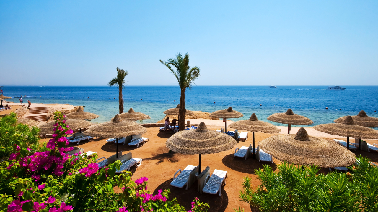 Sharm el Sheikh plaja, vacanta egipt 2022 all inclusive