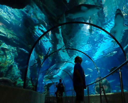 barcelona aquarium