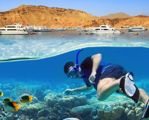 snorkeling Sharm el Sheikh