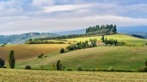 Landscape in Chianti in province of SienaToscana Italia