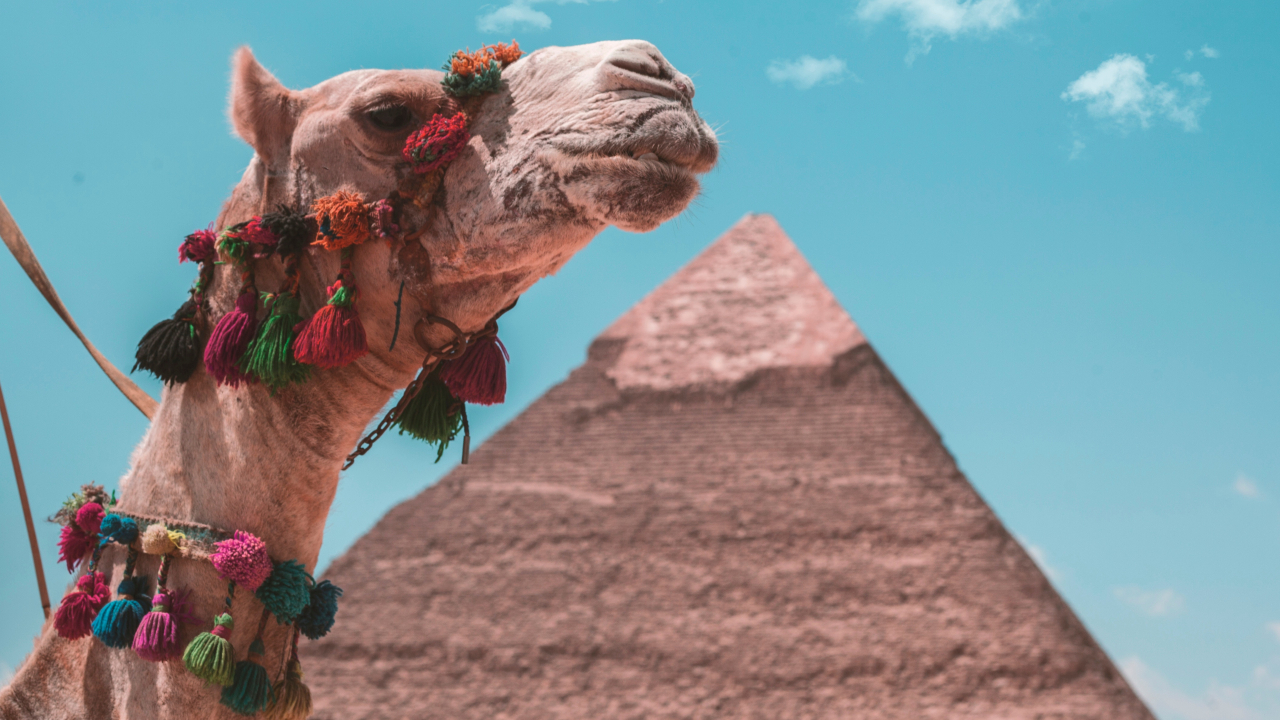 Piramide in Egipt