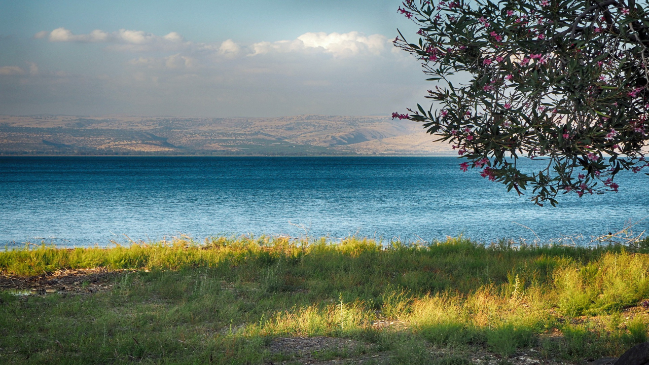 Marea Galileei