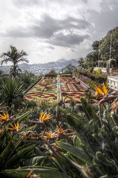 Madeira Madeira Botanical Garden 33537645715 1